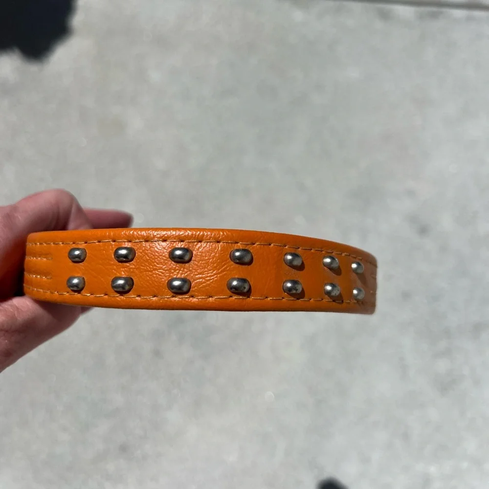 NWT Vintage Hartz orange dog collar with studs. Weather proof and length is 23”